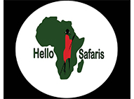 hello-safaris